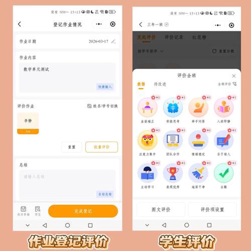 软件定制